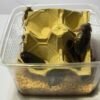 Blattes Dubias Adultes 10 Pcs