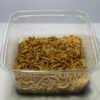 Vers de farine 100 g